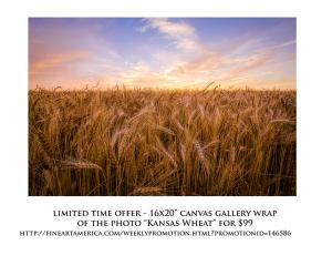 July Print Of The Month Sale